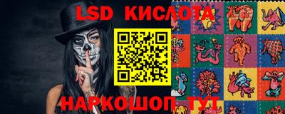 гидропоника Камышлов