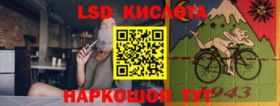гидропоника Камышлов