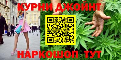 гидропоника Камышлов
