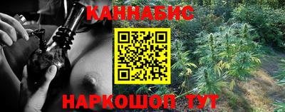 гидропоника Камышлов