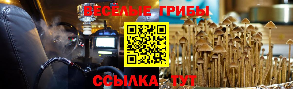 Галлюциногенные грибы Magic Shrooms Комсомольск-на-Амуре